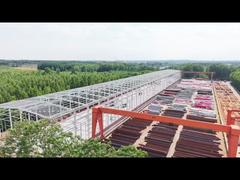 Steel structure building construction video