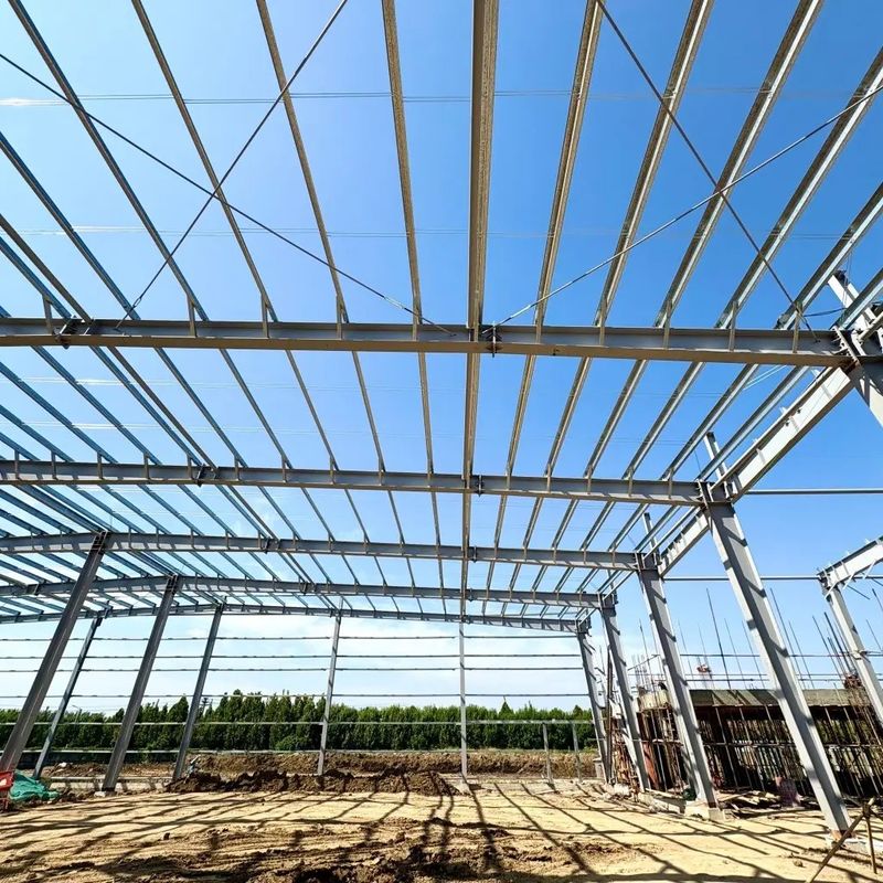 High Strength Heavy Steel Structure Breeding Shed for Large Livestock Feeding