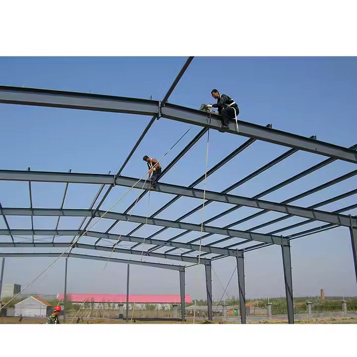 Weather Resistant Light Steel Breeding Barn for Agricultural Farming Use