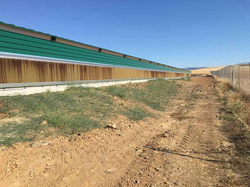 Steel Frame Animal Husbandry Shed for Farm Livestock and Poultry Breeding