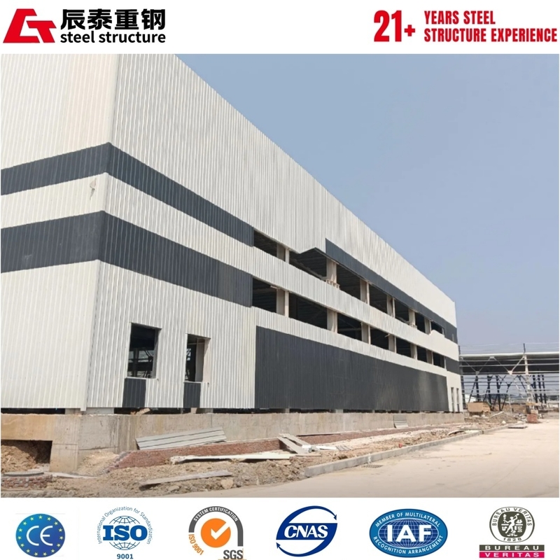 Large span steel structure industrial building factory workshop processed and manufactured in China
