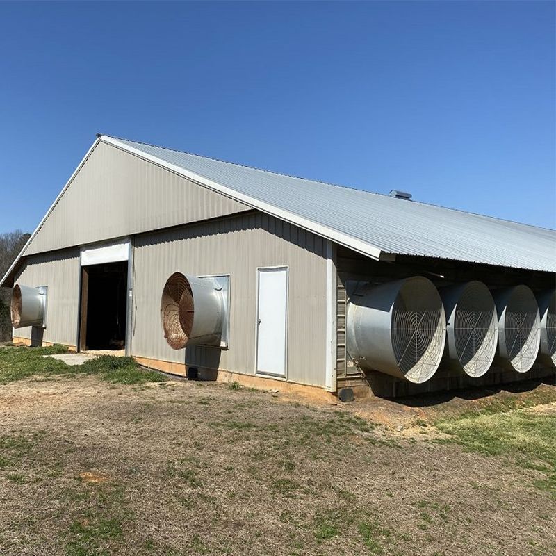Pre-engineered Galvanized Steel Breeding House with Insulated Roof