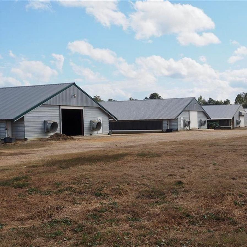Low Cost Modern Design Prefabricated Steel Structure Chicken House for Poultry Farm Building