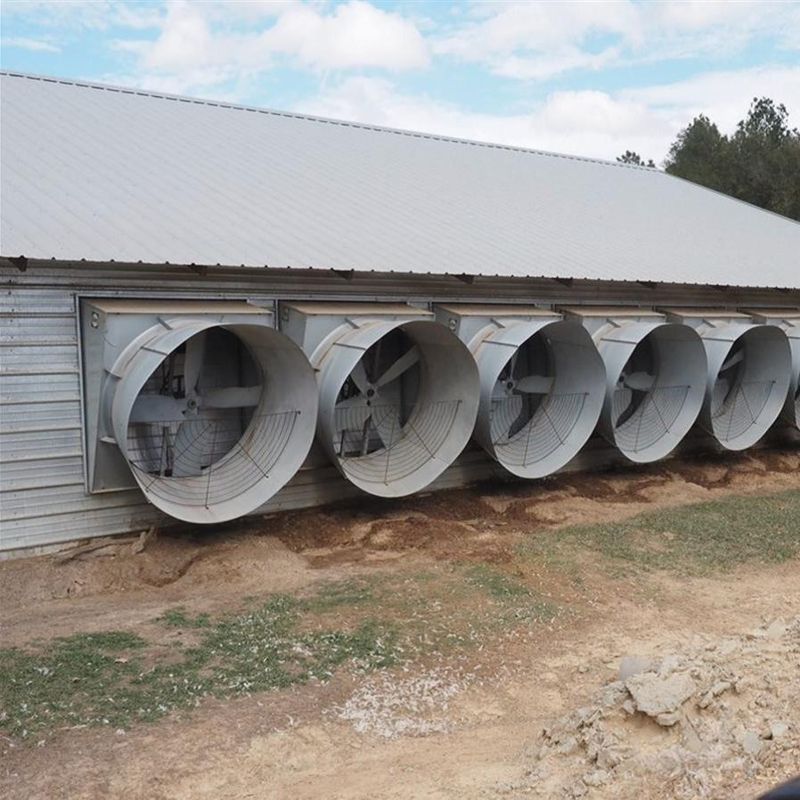 Low Cost Modern Design Prefabricated Steel Structure Chicken House for Poultry Farm Building