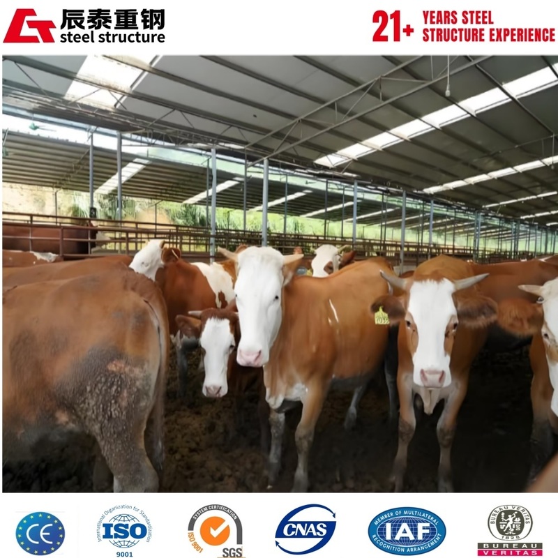 Galvanized anti-corrosion portal steel frame structure agricultural building breeding farm