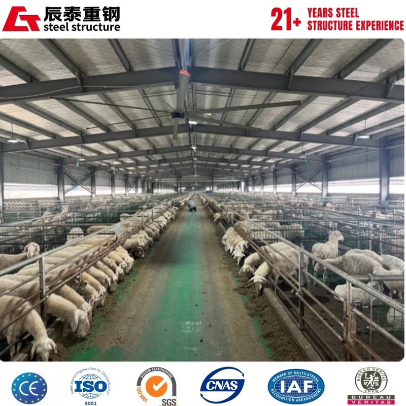 Galvanized anti-corrosion portal steel frame structure agricultural building breeding farm