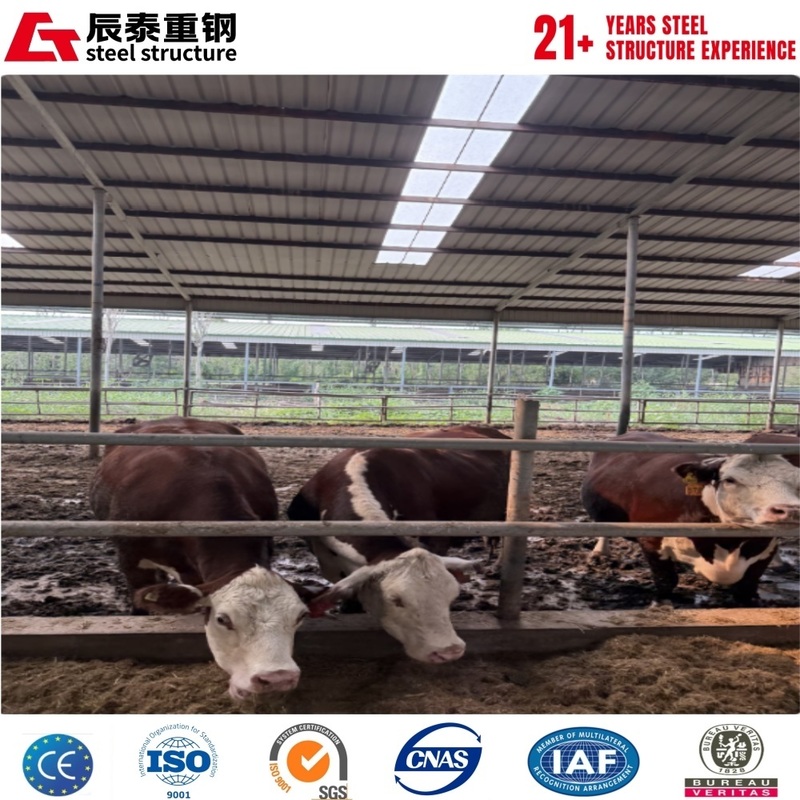 Galvanized anti-corrosion portal steel frame structure agricultural building breeding farm