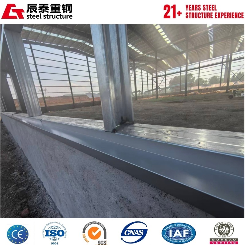 Galvanized anti-corrosion portal steel structure industrial building workshop factory building