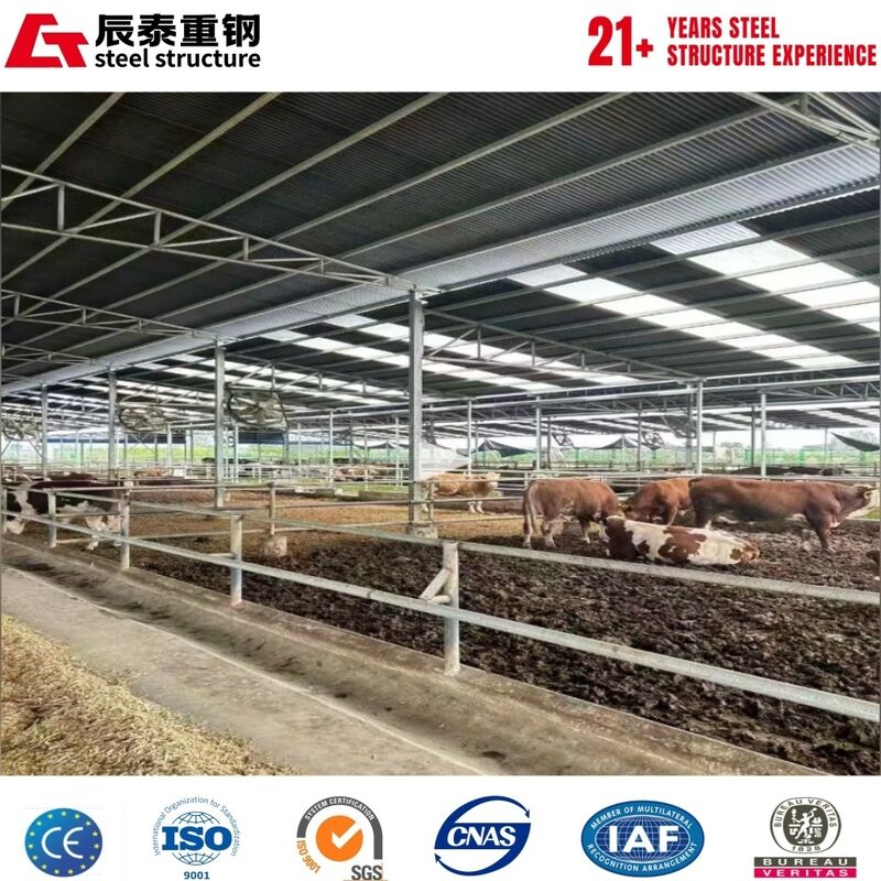 Granja de reproducción de estructuras de acero automatizadas resistentes a la corrosión Q355B - Edificio prefabricado de granja