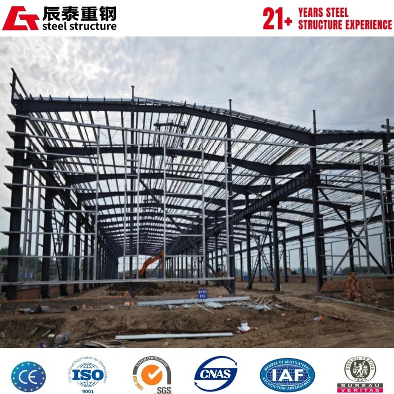 Anti-corrosion Prefab Steel Breeding Building for Large Scale Farm