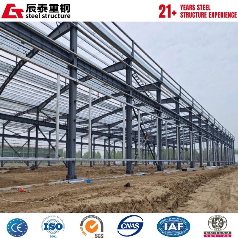 Anti-corrosion Prefab Steel Breeding Building for Large Scale Farm