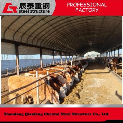 Prefab Customized Steel Structure Poultry House For Efficient / Hygienic Bird Rearing