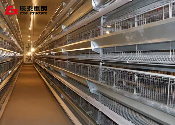 Modern Prefab Farm Buildings Steel Structure Broiler Layer