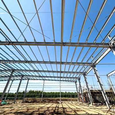 High Strength Heavy Steel Structure Breeding Shed for Large Livestock Feeding