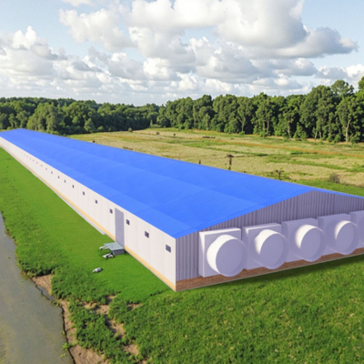 Custom Steel Structure Chicken House with Sliding Doors