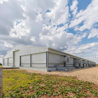 Custom Prefab Steel Poultry Shed Q235B Q355 Galvanized