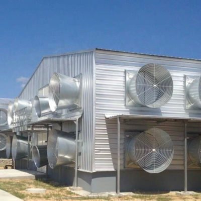 Prefab Light-Steel Chicken Farm Building with Skylights and Roll-up Doors