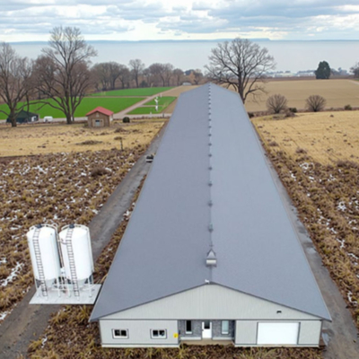 Prefab Steel Chicken Shed Poultry Farm Building Customizable