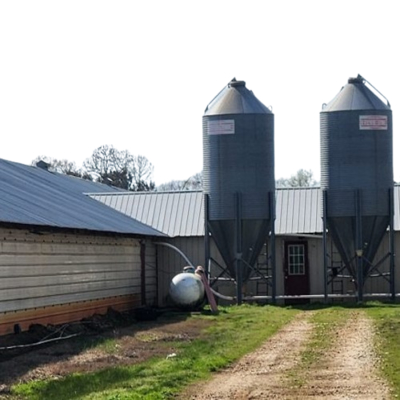 Easy Assemble Prefab Steel Chicken Shed with 50+ Year Lifespan