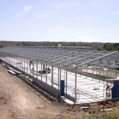 Hot-Dip Galvanized Prefab Steel Poultry Farm Building 50+ Years