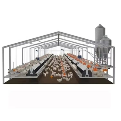 Prefab Steel Farm Building with Skylights and Roll-up Doors