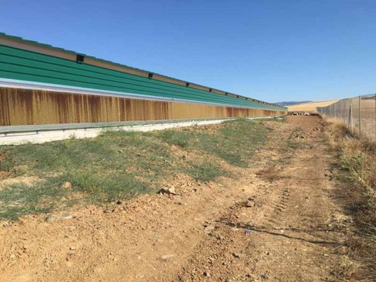 Steel Frame Animal Husbandry Shed for Farm Livestock and Poultry Breeding