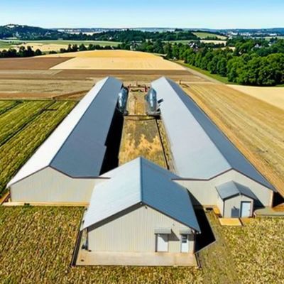 High Strength Heavy Steel Structure Breeding Shed for Large Livestock Feeding