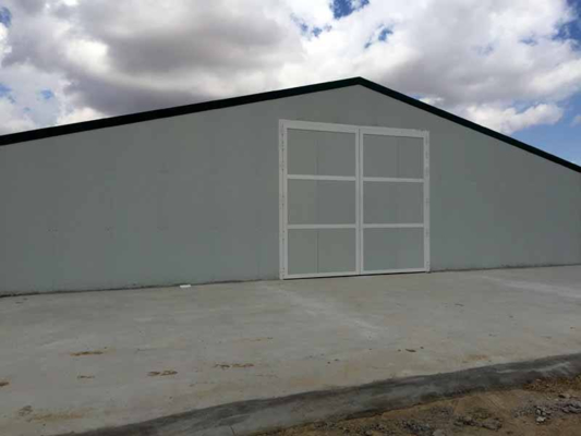 Prefab Steel Poultry Farm Building with Skylights and Roll-up Doors