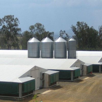 High Strength Heavy Steel Structure Breeding Shed for Large Livestock Feeding