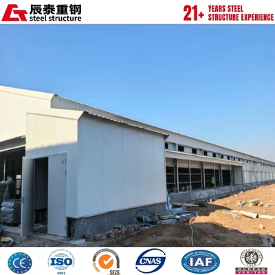 H-Section Steel Structure Livestock Greenhouse with Glass Walls