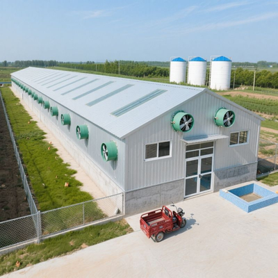 Low Price Modern Prefabricated Steel Structure Chicken House Farm Building