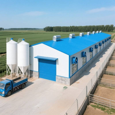 Prefabricated Steel Structure Poultry Layer Broiler Farm Building