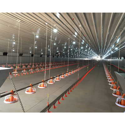 EU Standard Modern Design Galvanized Prefab Steel Farm Chicken House Building