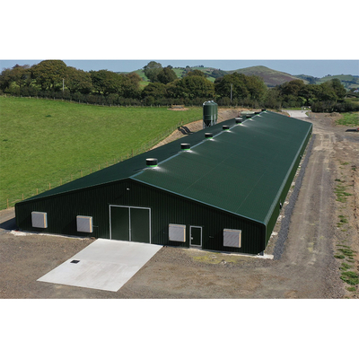 Low Cost Layer Broiler Chicken Steel Structure Prefab Poultry Farm Building