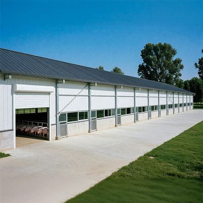 Modern Steel Prefab Farm Building with Contemporary Design Integrated Practical Pigsty