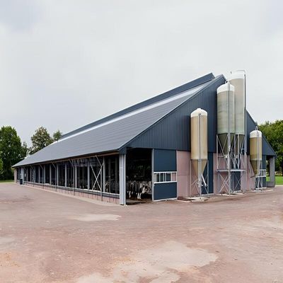 Light Steel Cow Farm Shed Prefab Livestock Farm Building