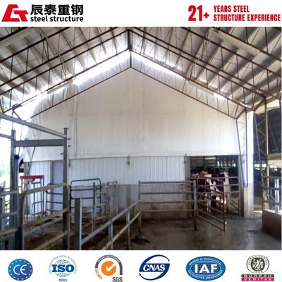 Galvanized anti-corrosion large span steel structure aquaculture agricultural building